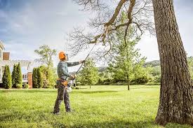 Fanning Springs, FL Tree Removal and Landscaping Services Company